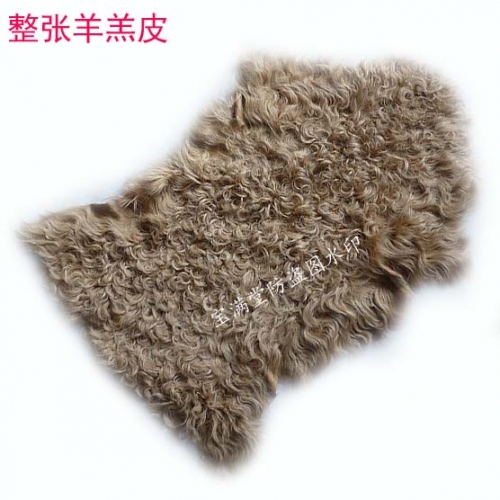 毛皮搜集专家，探寻皮毛世界的奥秘-第2张图片