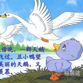 水果奶奶水果奶奶的故事-第3张图片
