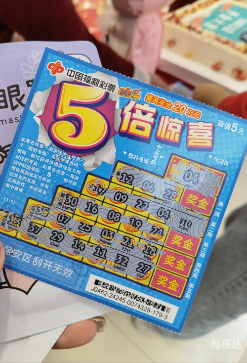 彩票总站，探索彩票的世界