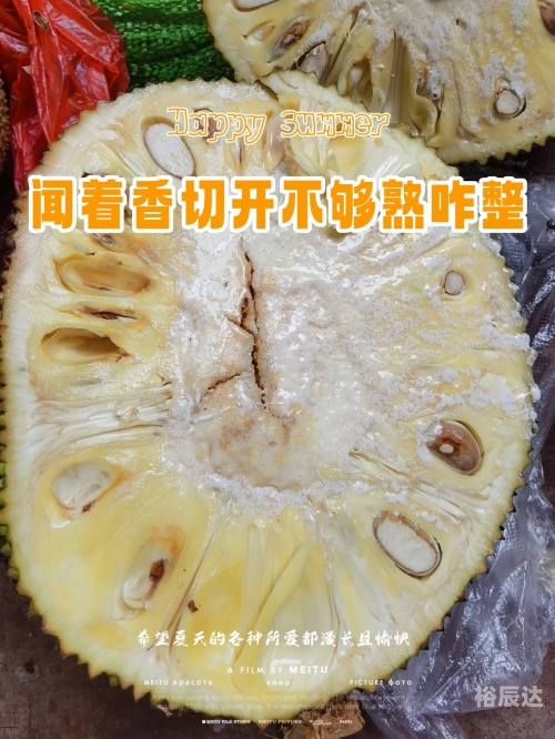 菠萝蜜官网进口路线一进二菠萝蜜官网，探索健康与美味的完美结合