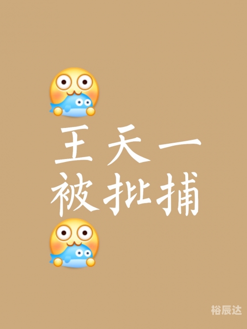 中国象棋大师王天一简历中国象棋大师王，棋艺精湛，技艺高超