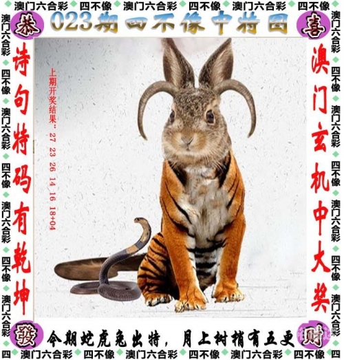 2024澳门资料大全正版资料-第2张图片