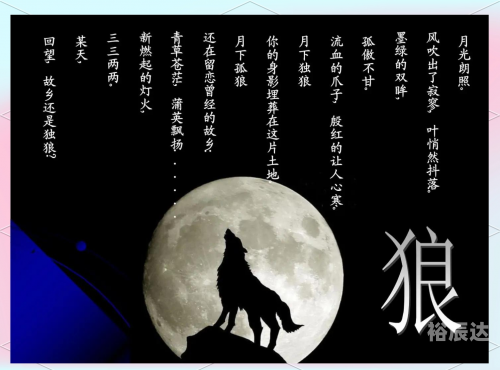 狼王梦小说全文狼王梦全文阅读-第2张图片
