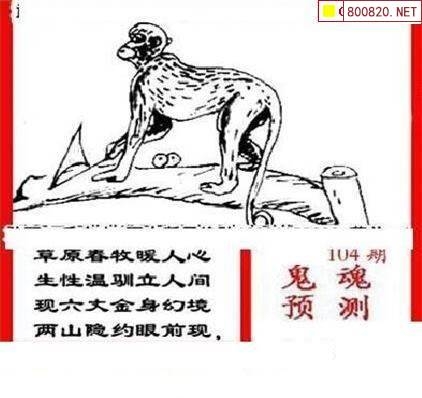 三毛图库3D，探索数字艺术的新世界