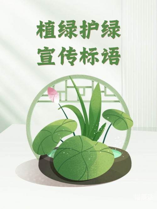 小草论坛小草论坛，绿色交流的家园