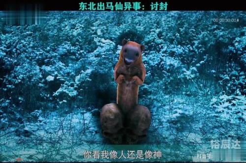 黄大仙看开奖结果查询最新黄大仙看开奖结果查询