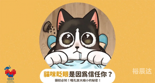 白猫图纸，探索设计与技术的奥秘-第2张图片