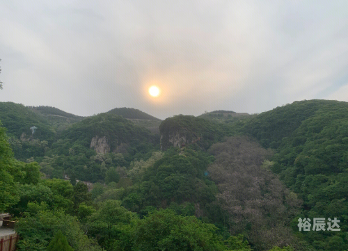 红叶高手联盟论坛红叶高手联盟，探索卓越之路