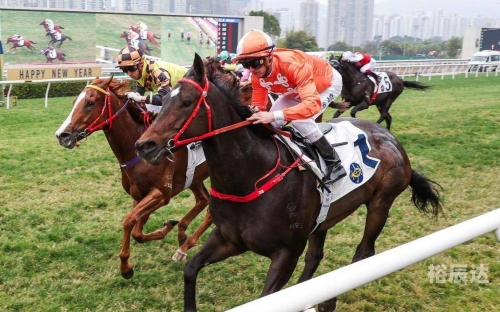 香港马赛马会最准资料香港马赛马会最准资料