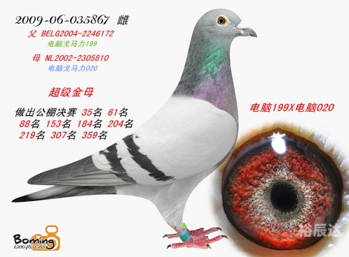 大红鹰网93343论坛大红鹰娱乐89168澳门官方揭秘