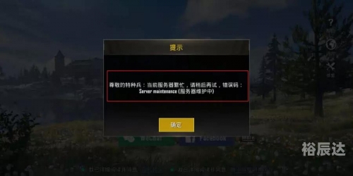 PUBG国际服鉴权失败，玩家遭遇与解决方案-第2张图片