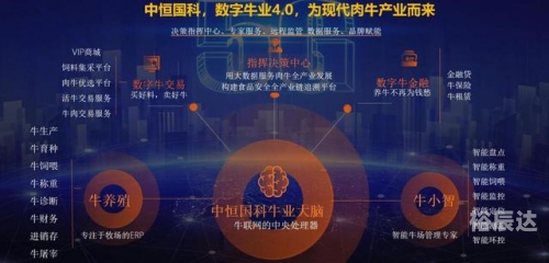 一起牛吧一起牛吧，探索牛业新天地