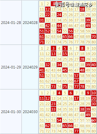 2024香港历史开奖记录65期2024香港历史开奖记录65期，回顾与展望-第2张图片