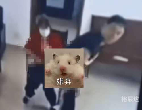 村干部被曝不雅视频怎么办村干部被曝不雅视频事件