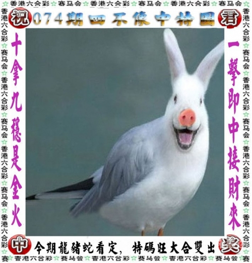 澳门历史开奖结果记录走势图澳门历史开奖结果记录