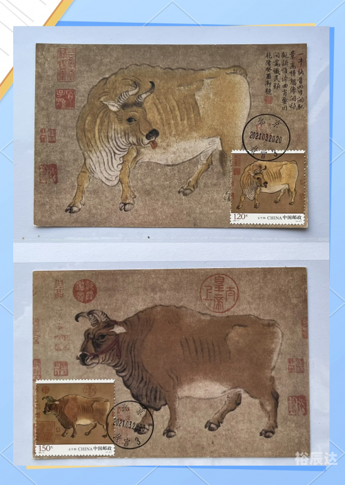 红五图库天牛图库天97654红五图库天牛图库天，探索自然之美与收藏珍品