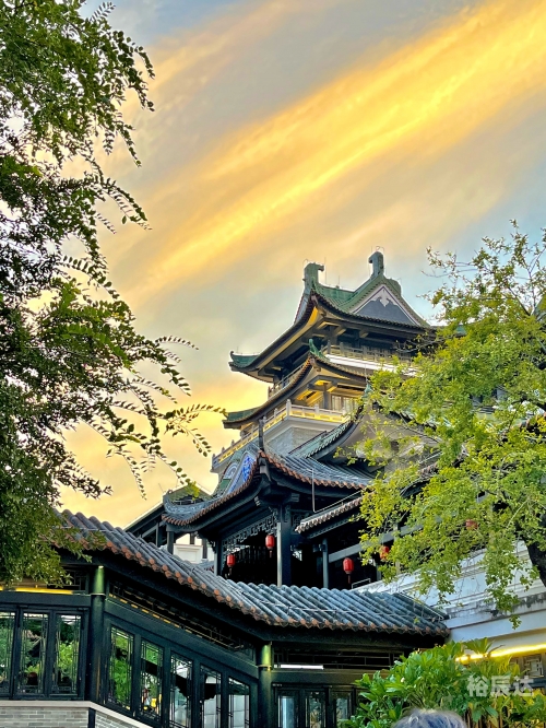 香港六合香港六合，繁华都市中的历史与现代交织
