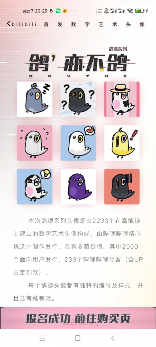 2233.b2233.b，数字背后的故事与启示