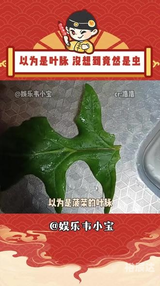 菠菜娱乐，探索多彩的娱乐世界-第2张图片