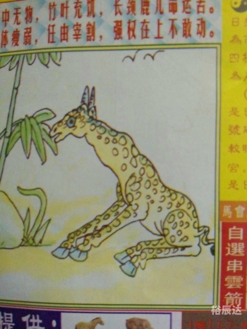 刘伯温与白小姐期期准准，智慧与承诺的完美结合-第2张图片