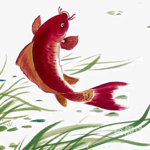 小鱼儿主页小鱼儿主页，探索无限可能-第3张图片