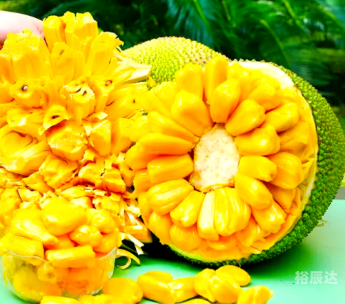 菠萝果，热带水果的魅力