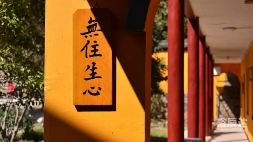 什么生肖有七情六欲打一个生肖七情六欲打一个生肖——龙-第1张图片