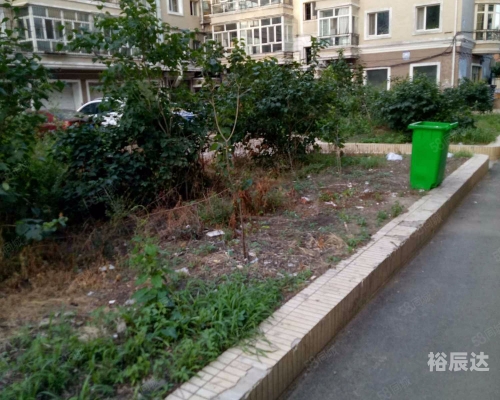 乐安论坛乐安论坛，探讨社区交流与信息共享的平台-第1张图片