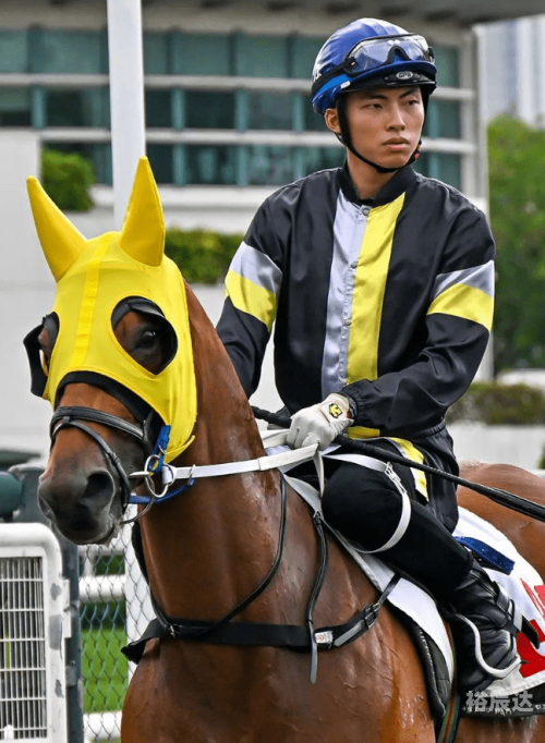 香港赛马会资料香港赛马会免费资源网，探索无限可能