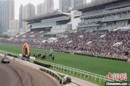 香港赛马会最新消息