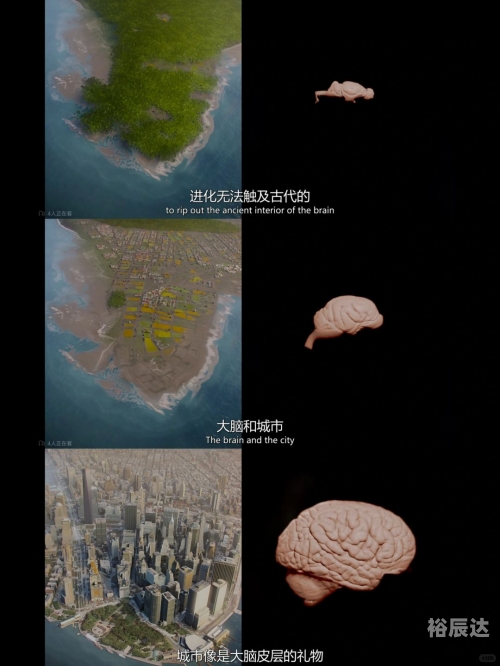 现世入口现世入口，探索与启示-第2张图片