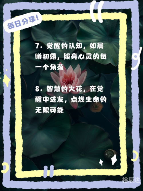 终极道终极道，探寻真理的智慧之路-第2张图片