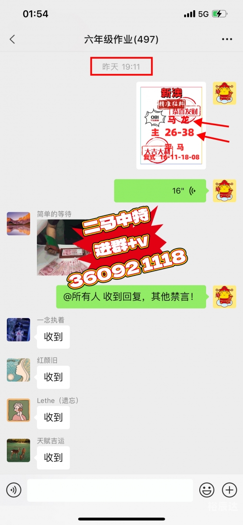 新澳门精准资料期期精准，透视澳门未来的发展
