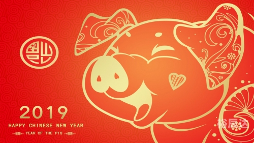 2019全年免费料大全2019全年免费料大全