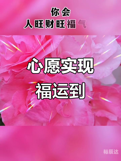 好运网好运网，开启幸运之门-第1张图片
