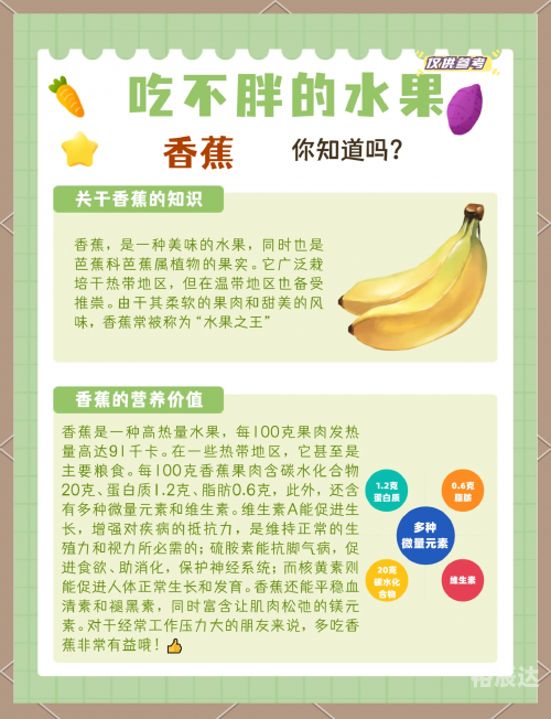 海南香蕉网海南香蕉网，探索热带水果的魅力-第1张图片