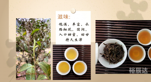福州茶叶福州茶叶，品味独特，历史悠久
