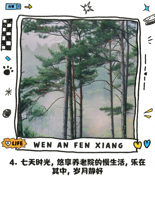 7天快捷七天快捷生活体验-第2张图片