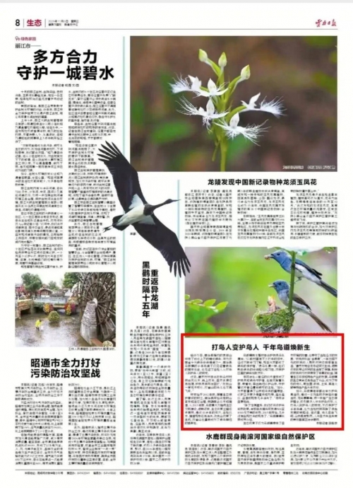 云南11选五开奖文章-第2张图片
