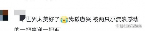 富哥网名富哥网，引领财富新纪元-第2张图片