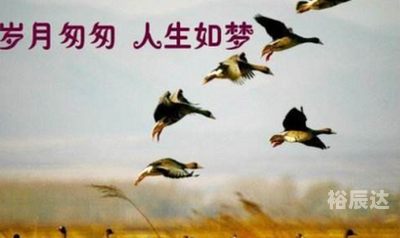 曾道道人资料免费大全最新版本曾道人，智慧与人生的导师