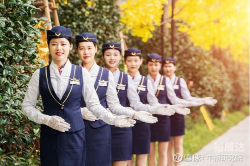 崔万志网店，品质与服务的完美结合-第2张图片