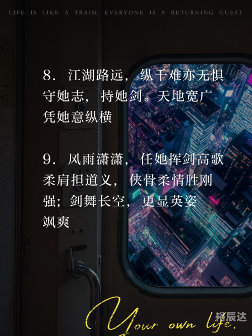 新流星搜剑录新流星搜剑录，剑指江湖的神秘之旅-第3张图片
