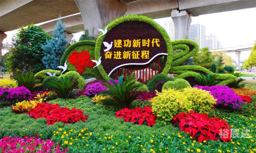 团800郑州团800郑州，城市发展新篇章-第2张图片