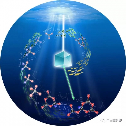 99全讯网，科技前沿的引领者-第2张图片