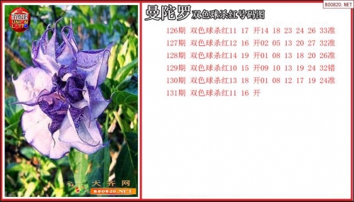 双色球杀号专家双色球杀号专家，破解彩票神秘世界的秘诀-第2张图片