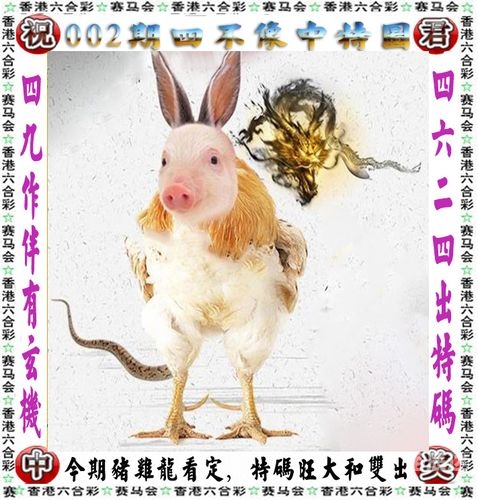 王中王免费资料大公开