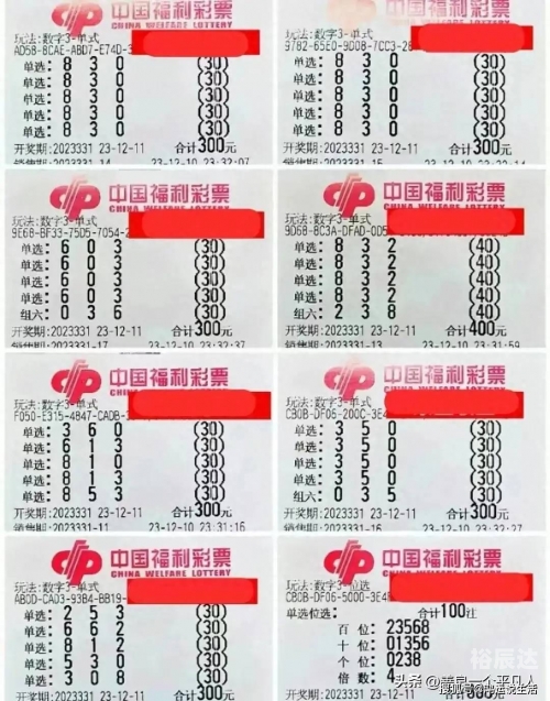 今天的3d开奖号码今天的3D开奖，探索数字奇迹的世界-第2张图片