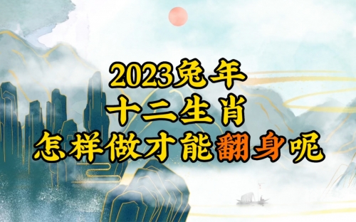 2023年生肖49码图揭秘
