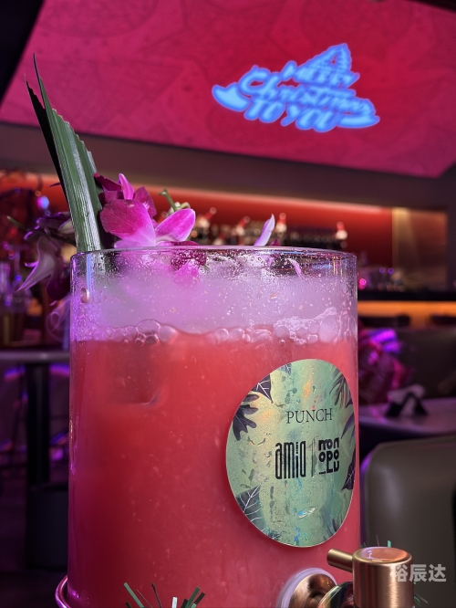 www色小姐www色小姐，诱惑与诱惑力的交织